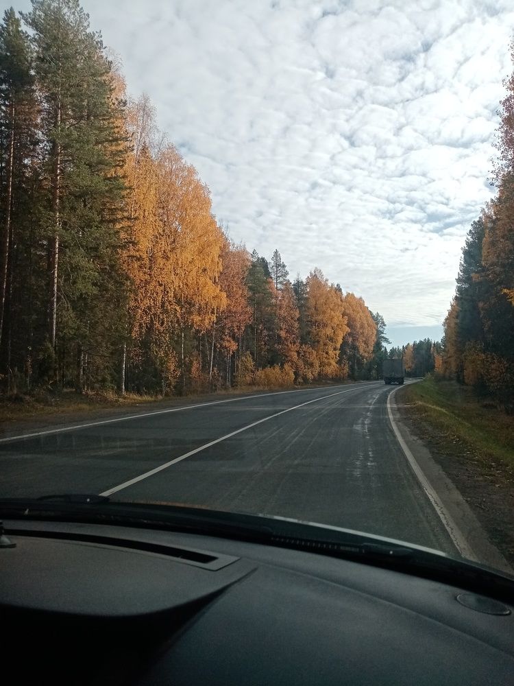 Photo #6578471