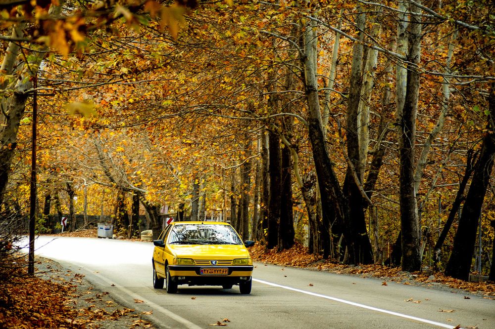 Photograph by DAMOUN POURNEMATI