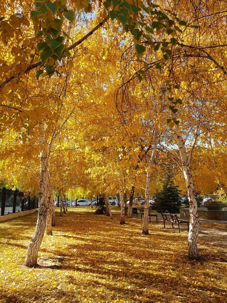 Солнечный октябрь