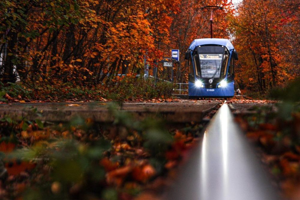 Photograph by Ильдус Шаруков