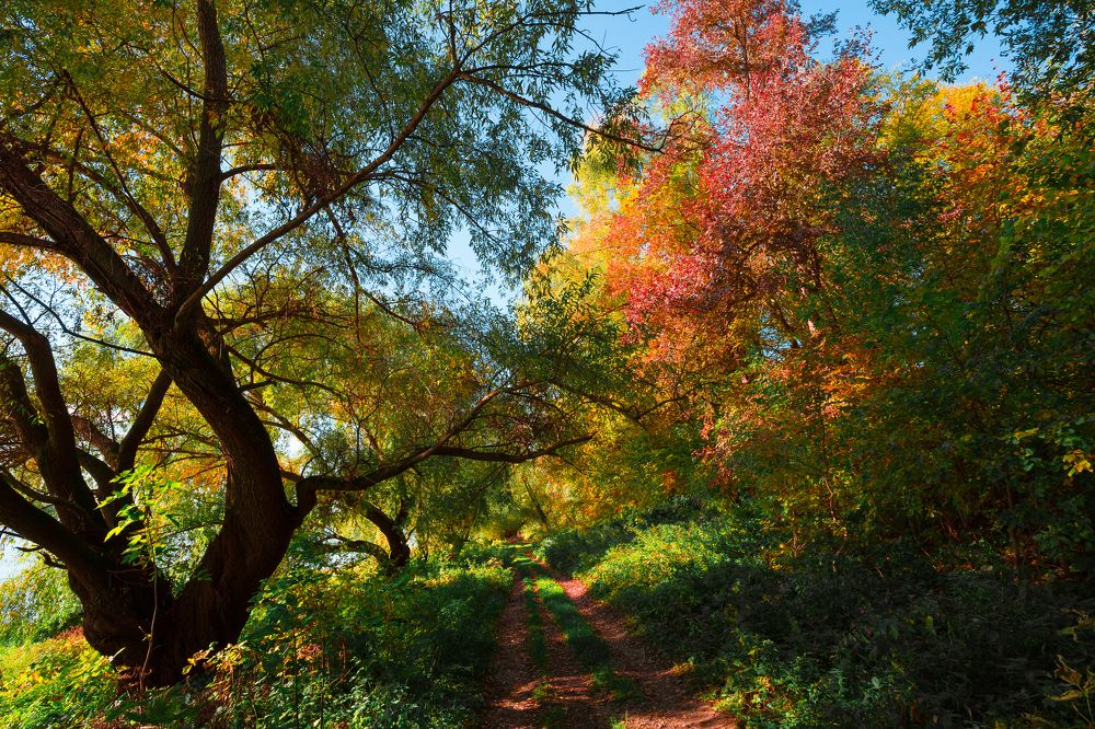 Photograph by Николай Астанин