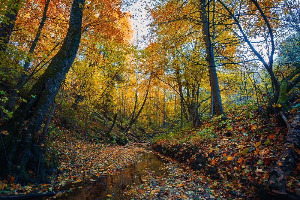 Photograph by Николай Астанин