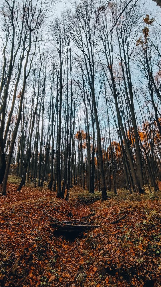 Photograph by Ирина Львова