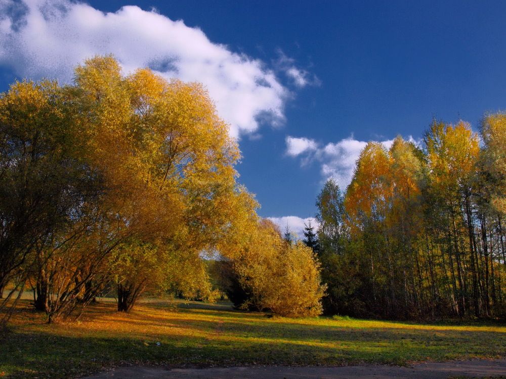 Photograph by Игорь Чеботарёв