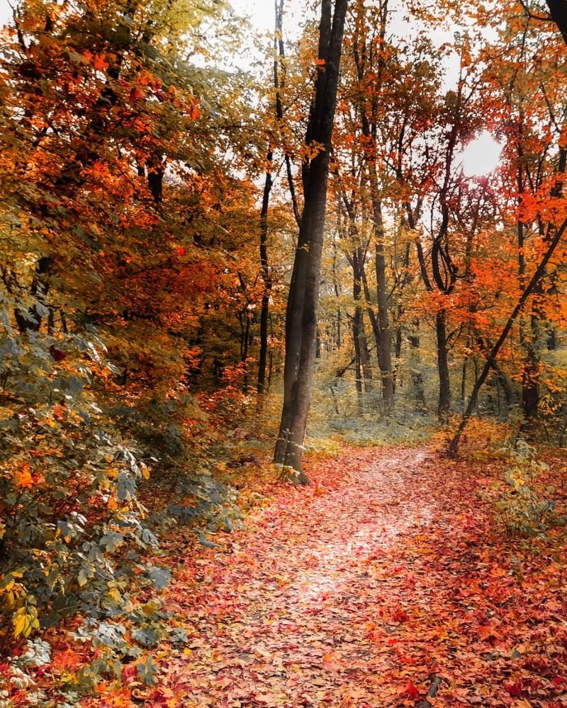 Фотография автора Irina Vornacheva