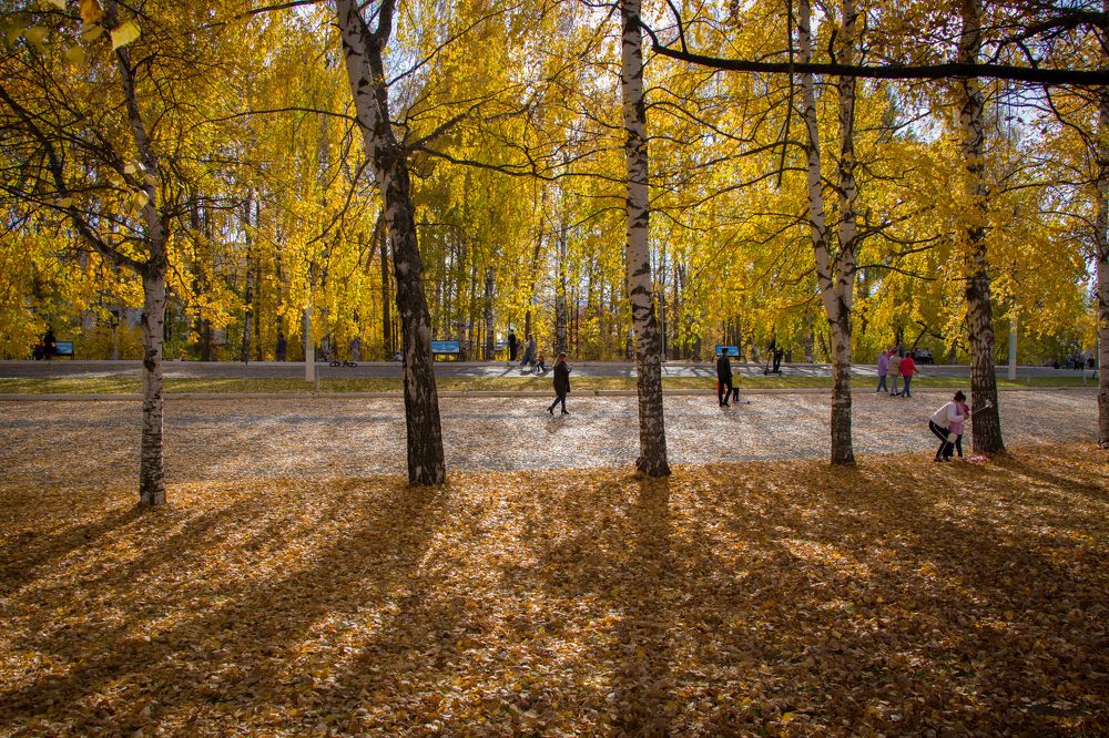 Photograph by Nikita Oshvintsev