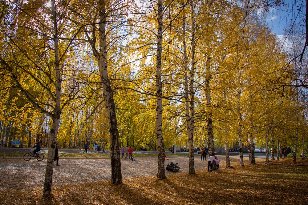 Photograph by Nikita Oshvintsev