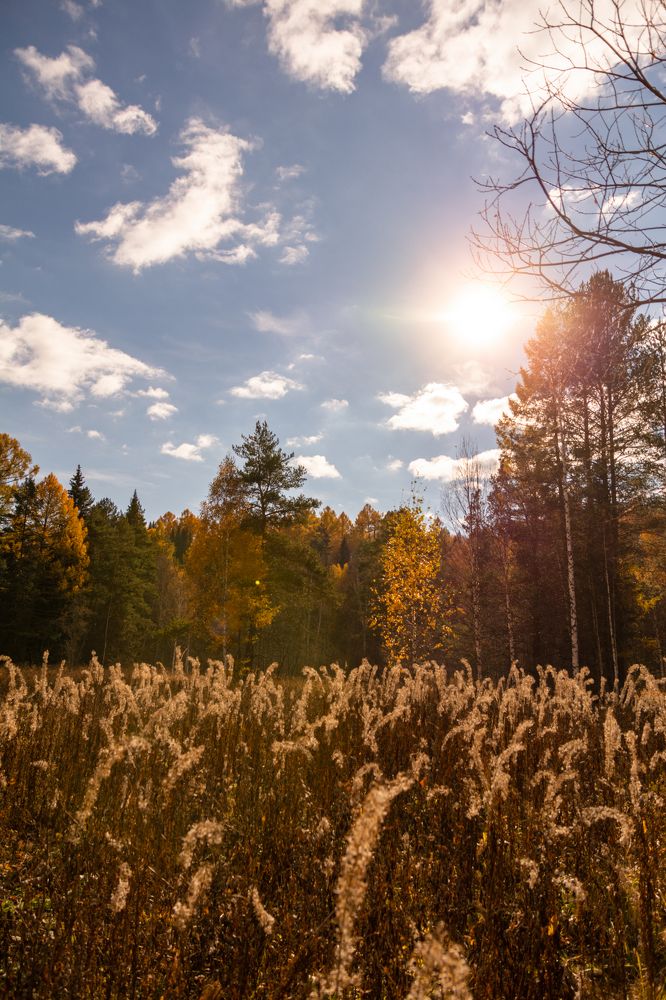 Photograph by Екатерина Устьянцева
