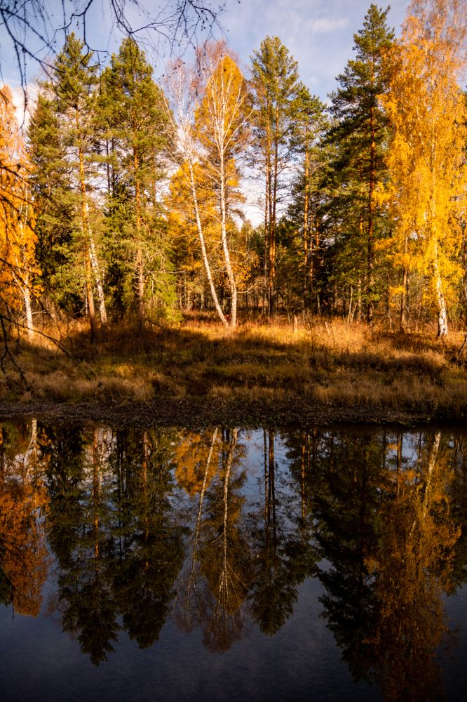 Photograph by Екатерина Устьянцева