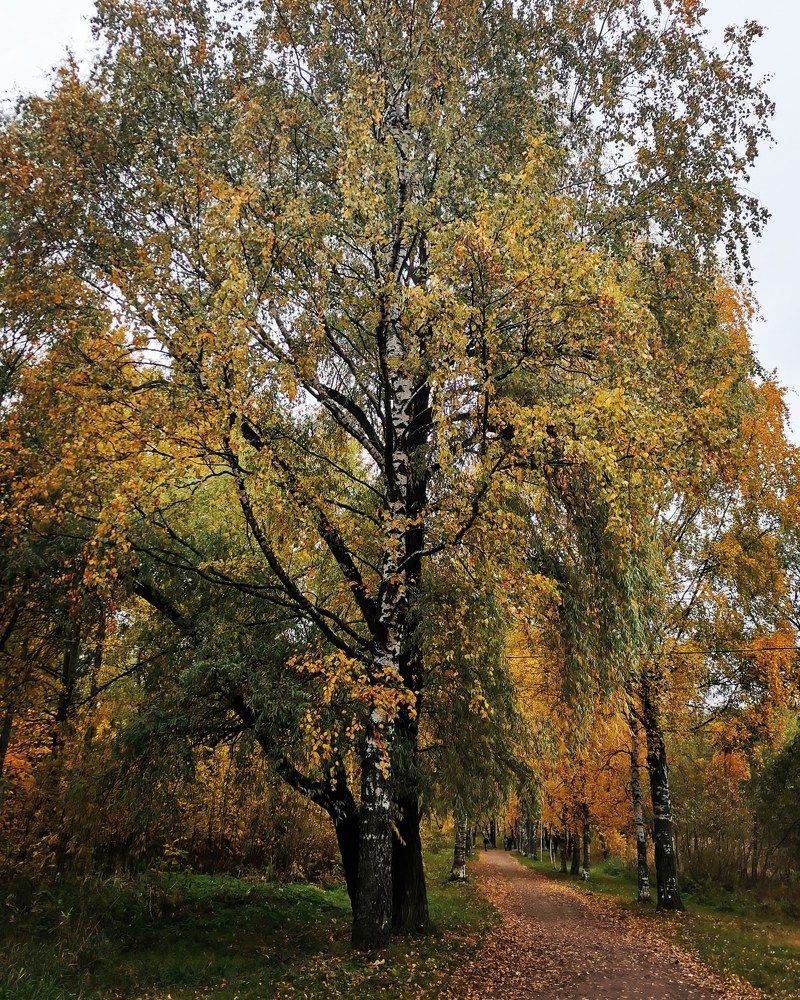 Photograph by Анна Чадова