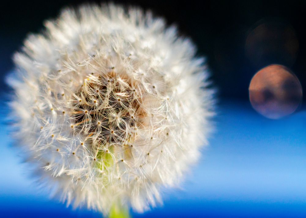 Photograph by Белов Сергей