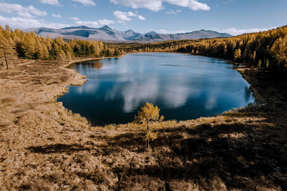 Photograph by Анастасия Сауль