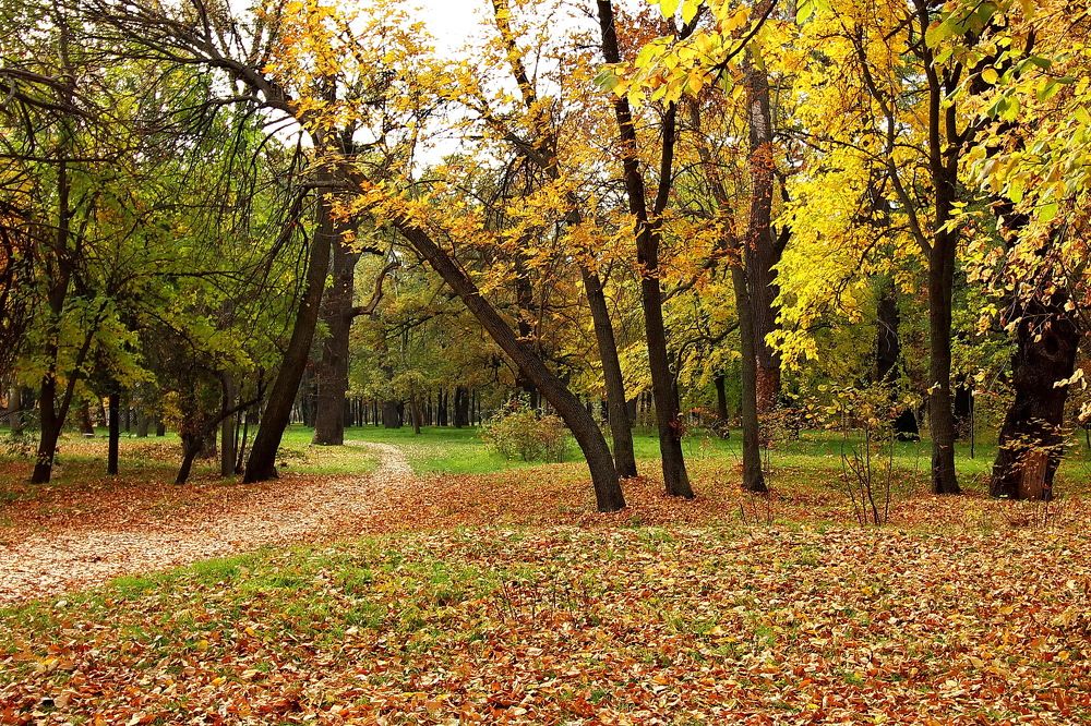 Photograph by Анна Хазова