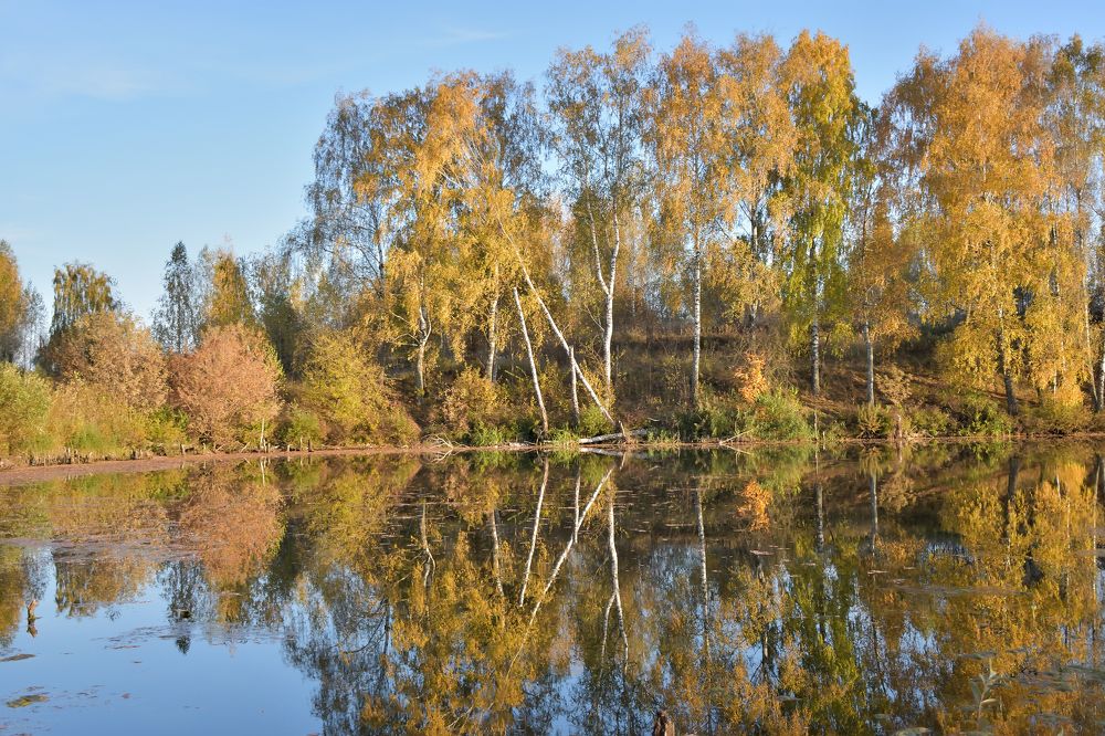 Photograph by Александр Шакун