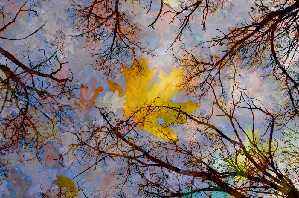 Photograph by Светлана Кравченко