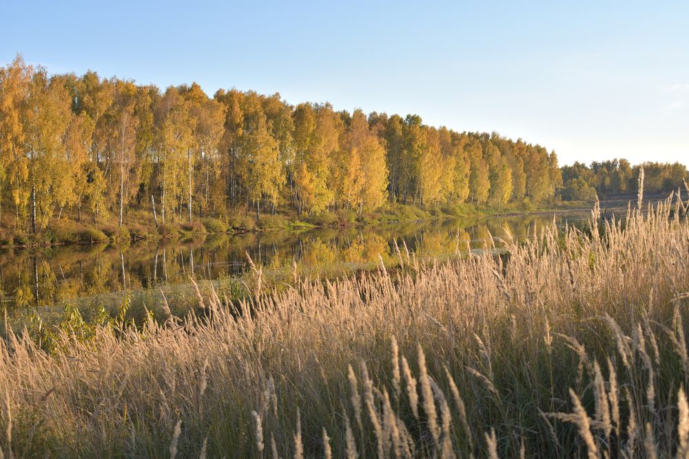 Photograph by Александр Шакун