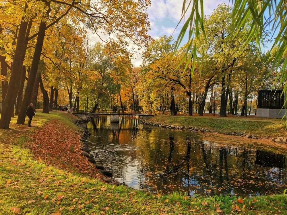 Золотая осень