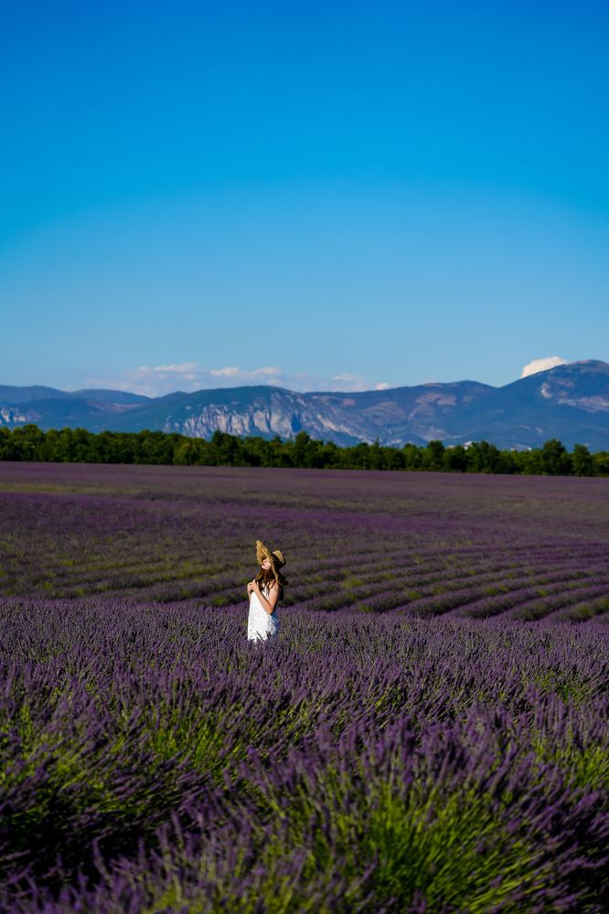 Фотография автора Владимир Хащанский