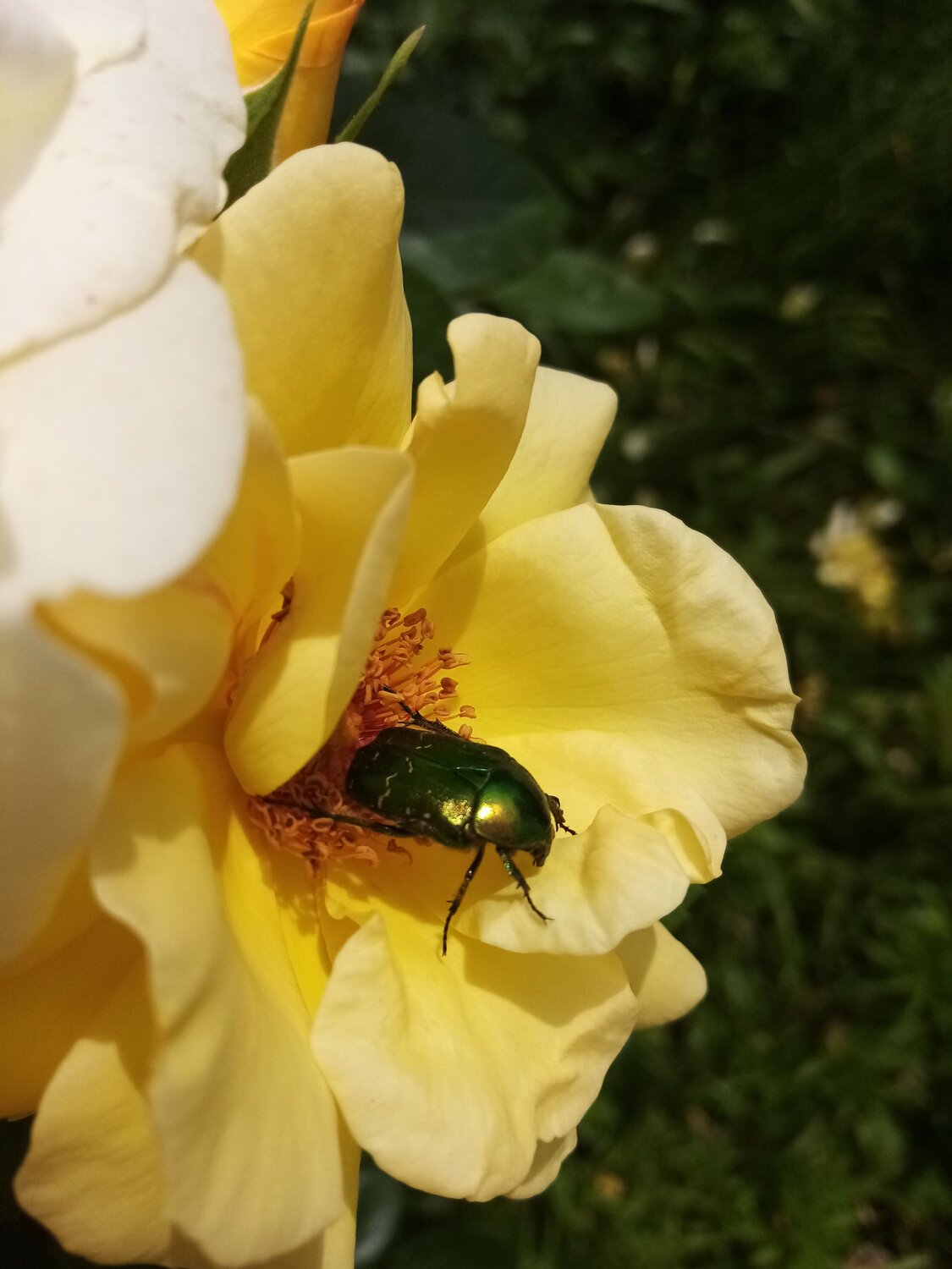 Photo #6578869