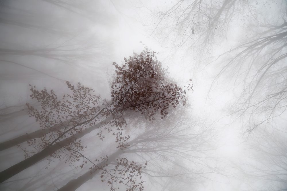 Photograph by Ralitsa Byalkova