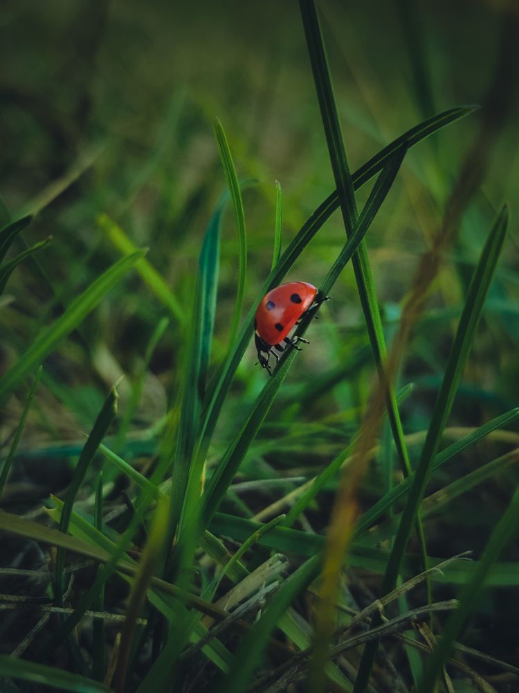 Photograph by Сергей Таранов