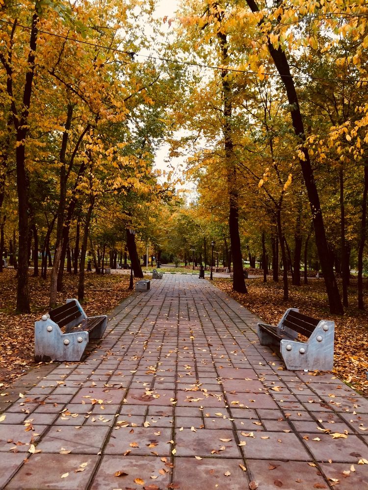 Photograph by hanie rashidi