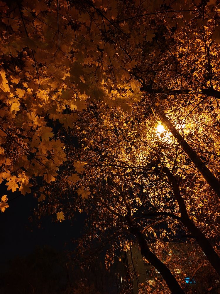 Photograph by Татьяна Аршинова