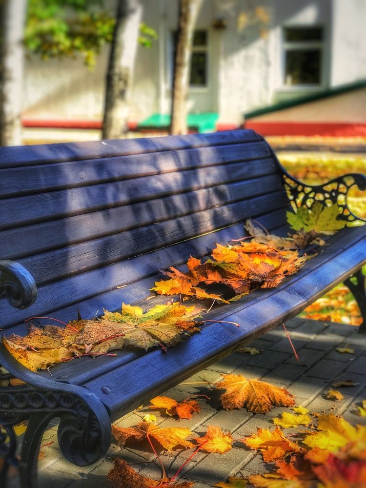 Красота и неповторимость золотой осени…???