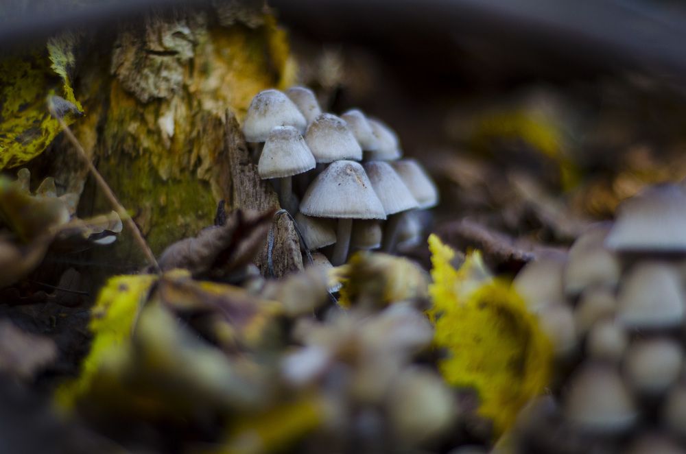 Photograph by Евгения Михайлова