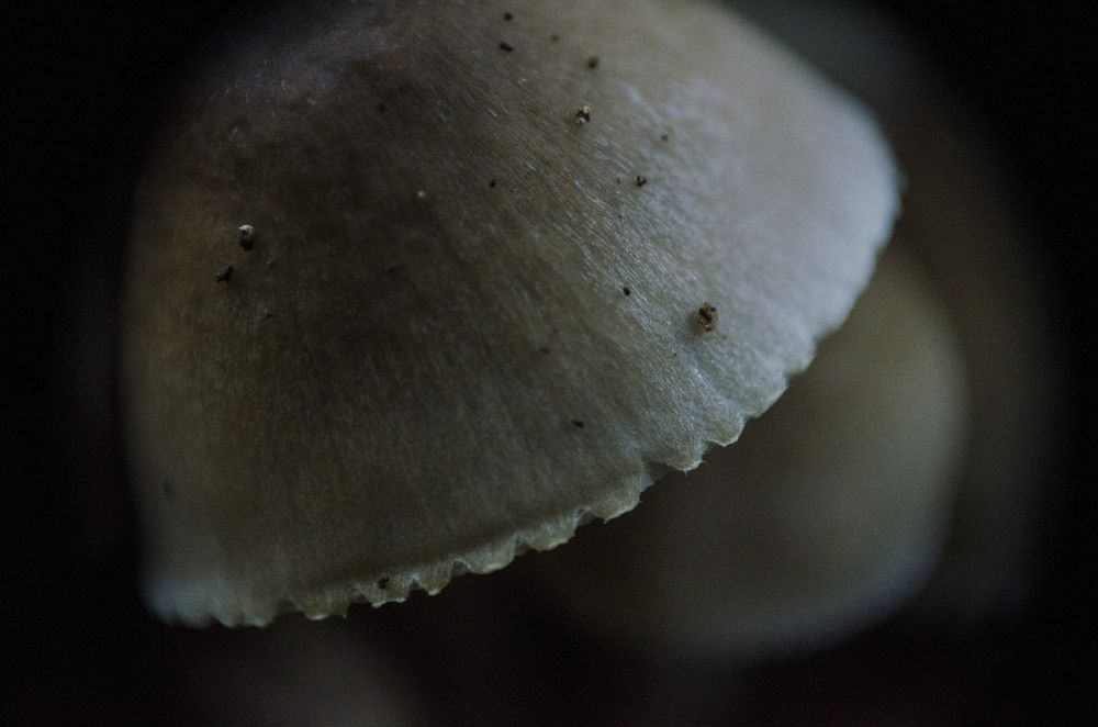 Photograph by Евгения Михайлова