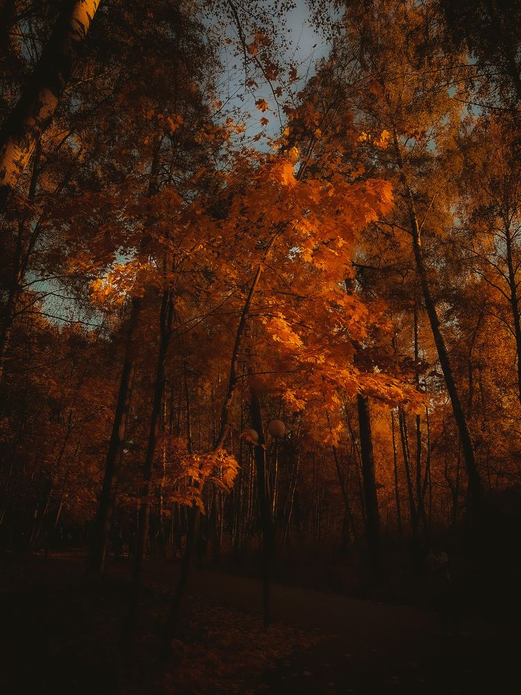 Photograph by Юлия Галлямова