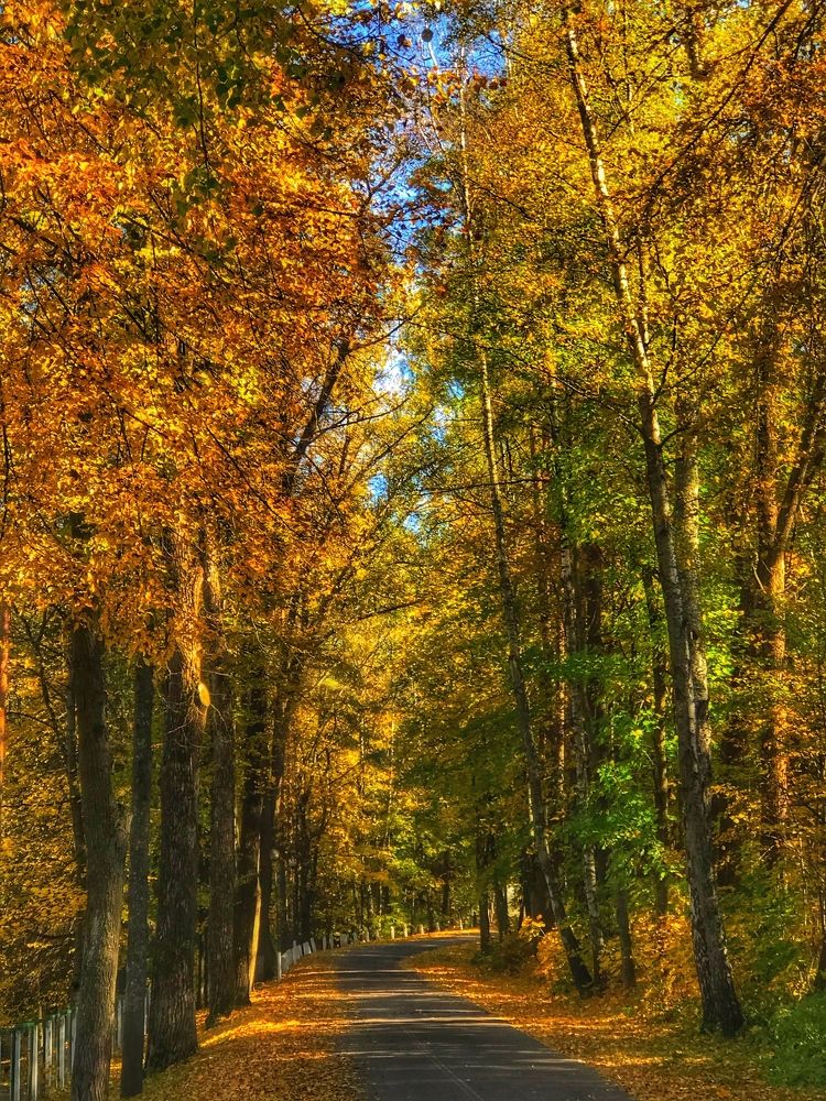 Photograph by Армен Егиян