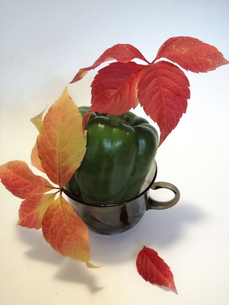 Photograph by Татьяна Чарушина