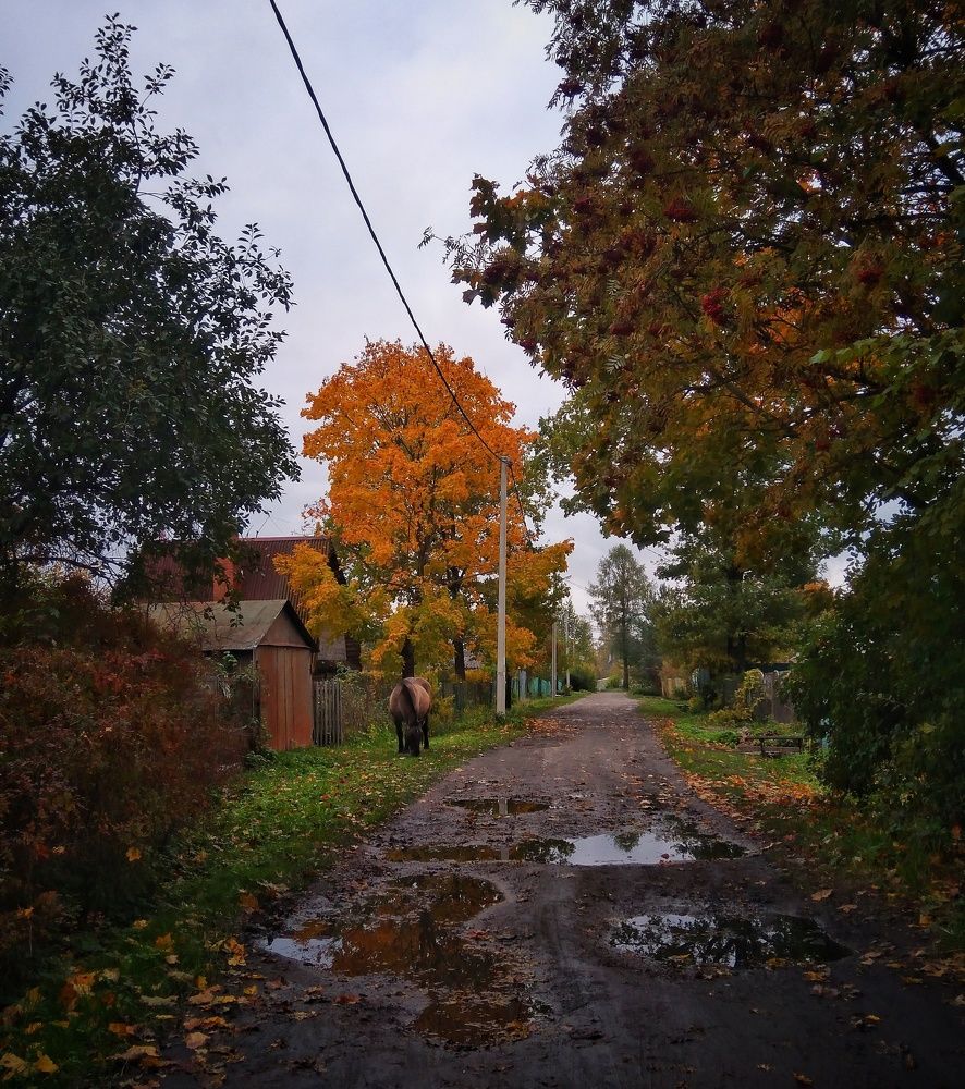 Фотография автора Виктор Конев