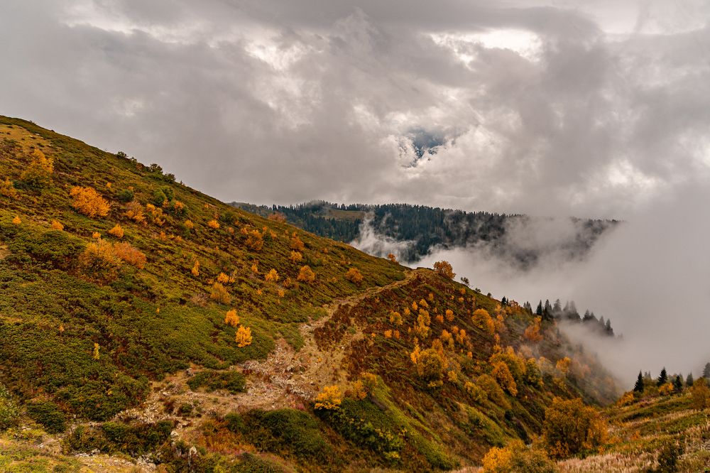 Photograph by Андрей Л