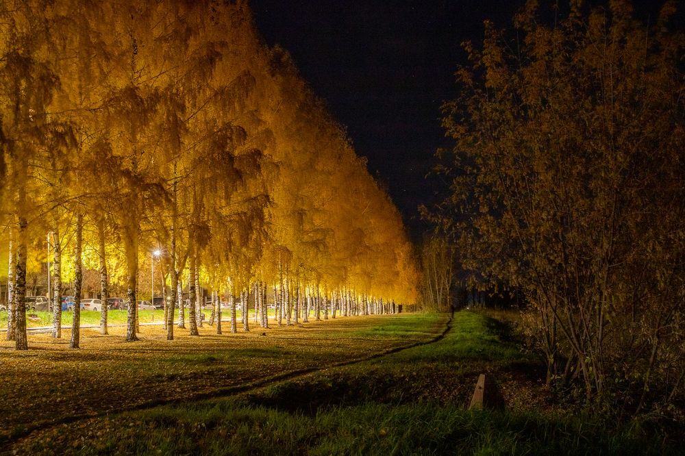 Фотография автора Панагушин Сергей