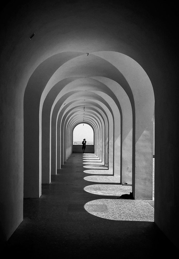 Photograph by Ali RAHILA