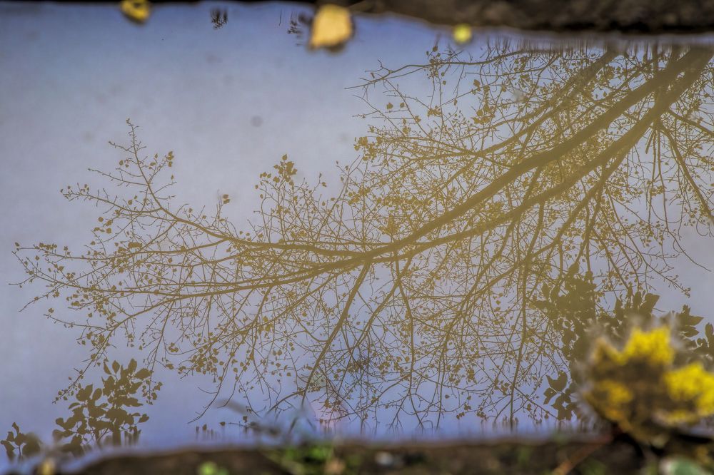 Photograph by Андрей Почечуй