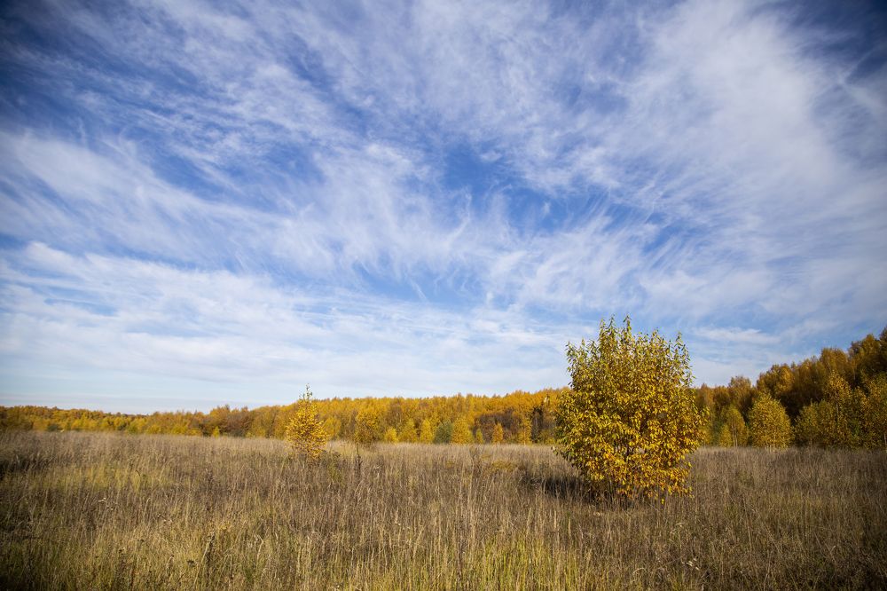 Photograph by Андрей Почечуй
