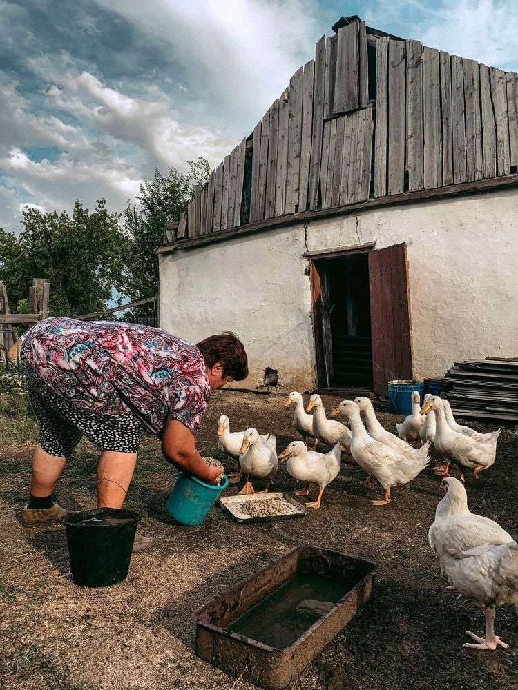 Photograph by Влад Gurgenagangrena