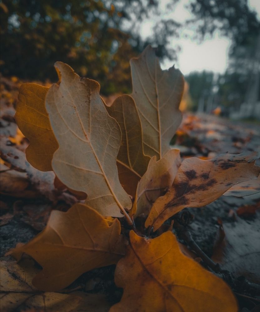 Photograph by Полина Паршина
