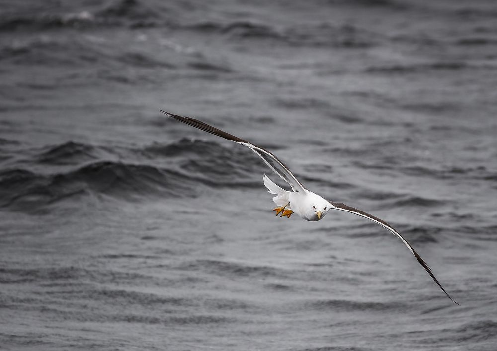 Photograph by Андрей Семенников