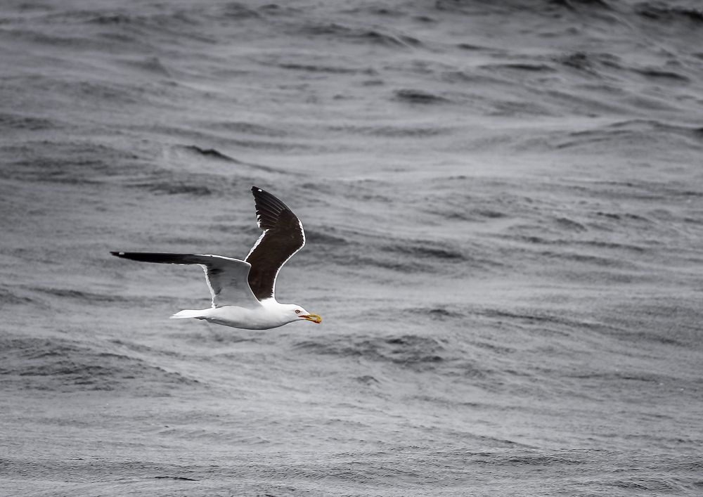 Photograph by Андрей Семенников