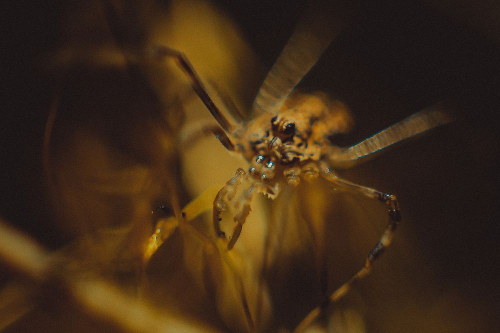 Photograph by Андрей Семенников