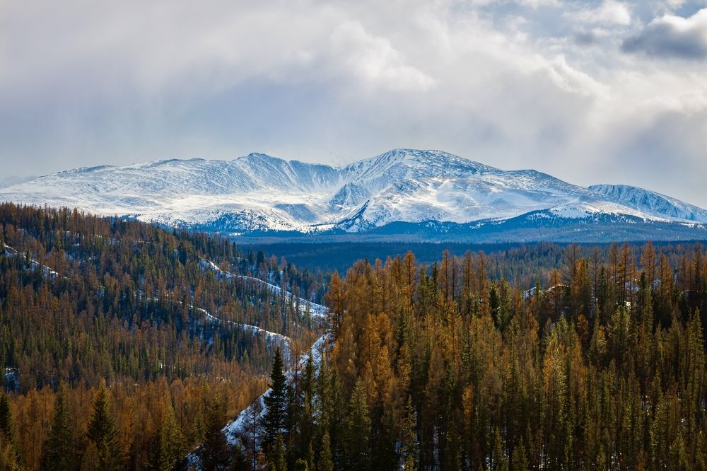 Photograph by Anna Levina