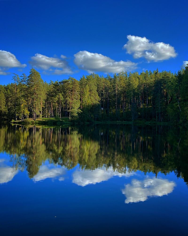 Photograph by Светлана Коган