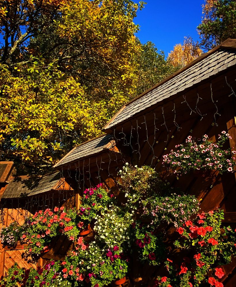 Photograph by Светлана Коган