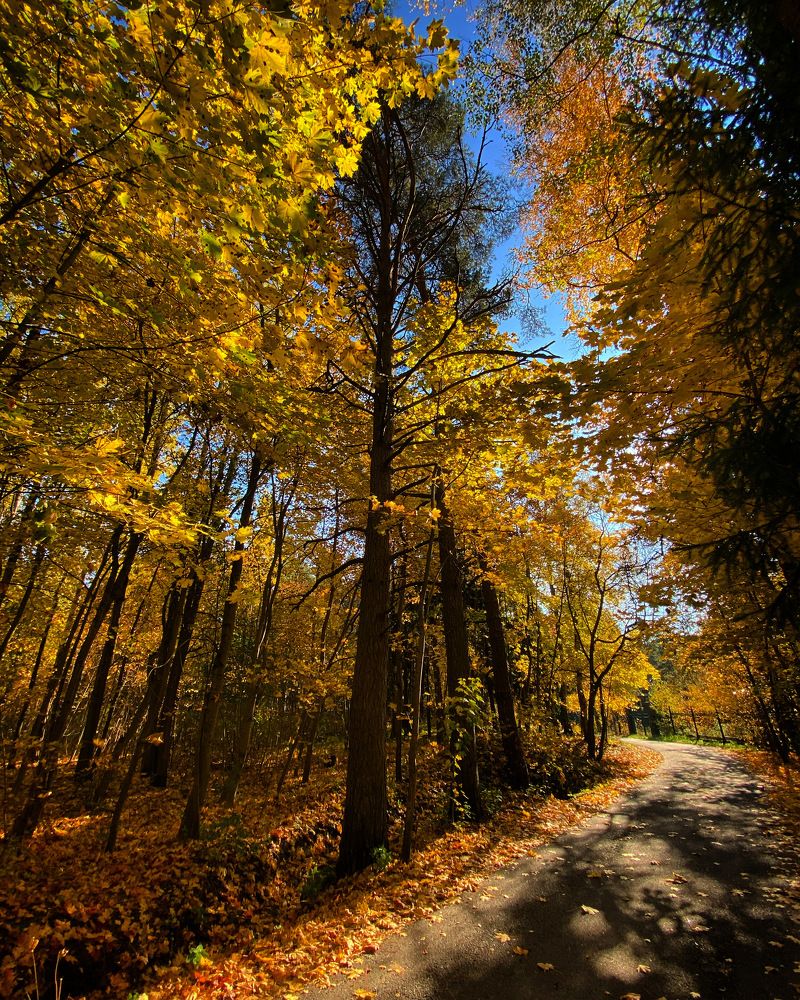 Photograph by Светлана Коган