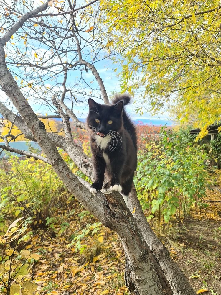 Photograph by СТАРКОВА ПОЛИНА