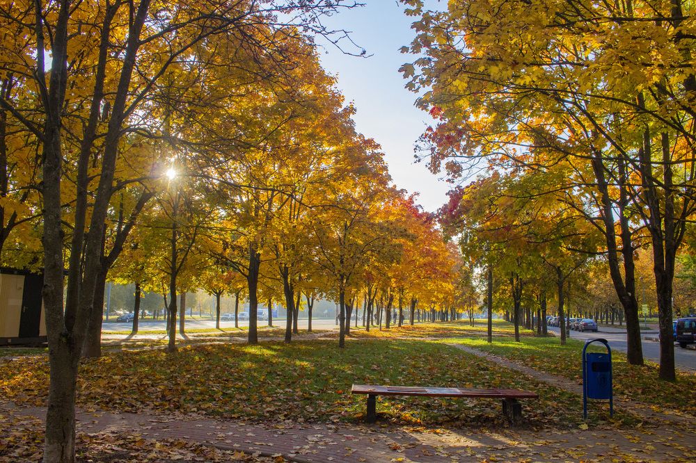 Красота любимого города...